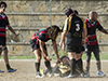 thumb_DSC_6467.jpg